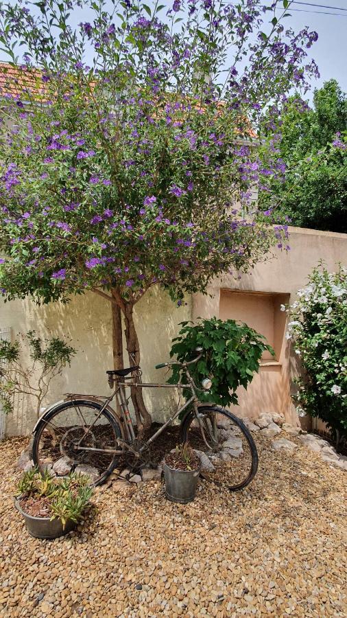 Gites "Tout Au Sud De La France" Pomerols Ngoại thất bức ảnh