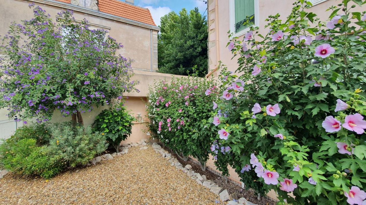 Gites "Tout Au Sud De La France" Pomerols Ngoại thất bức ảnh